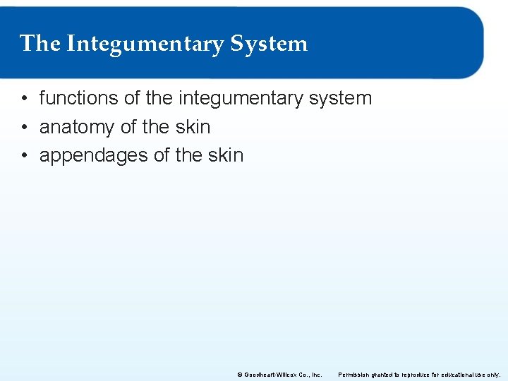 The Integumentary System • functions of the integumentary system • anatomy of the skin