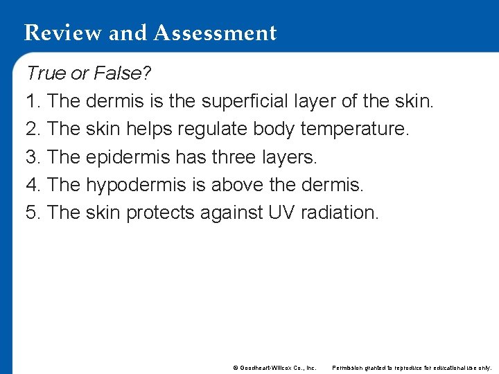 Review and Assessment True or False? 1. The dermis is the superficial layer of