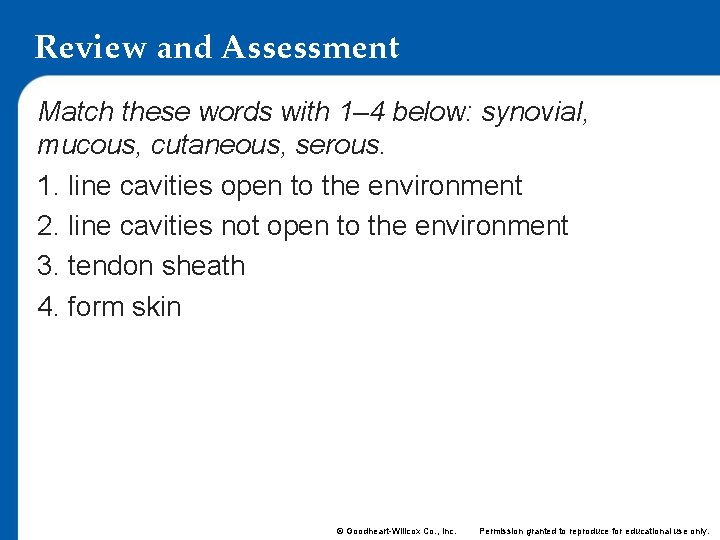 Review and Assessment Match these words with 1– 4 below: synovial, mucous, cutaneous, serous.