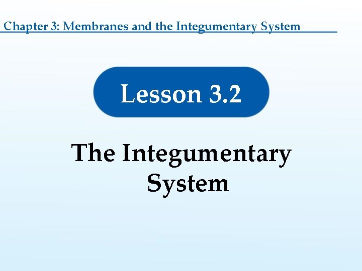 Chapter 3: Membranes and the Integumentary System Lesson 3. 2 The Integumentary System 