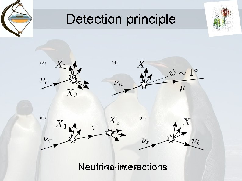Detection principle Henrik Johansson Neutrino interactions 