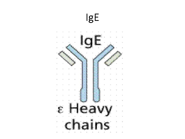 Ig. E 