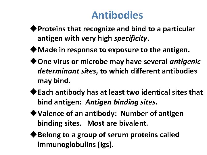 Antibodies u. Proteins that recognize and bind to a particular antigen with very high