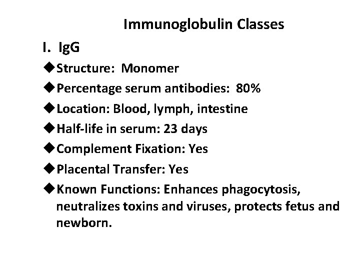 Immunoglobulin Classes I. Ig. G u. Structure: Monomer u. Percentage serum antibodies: 80% u.