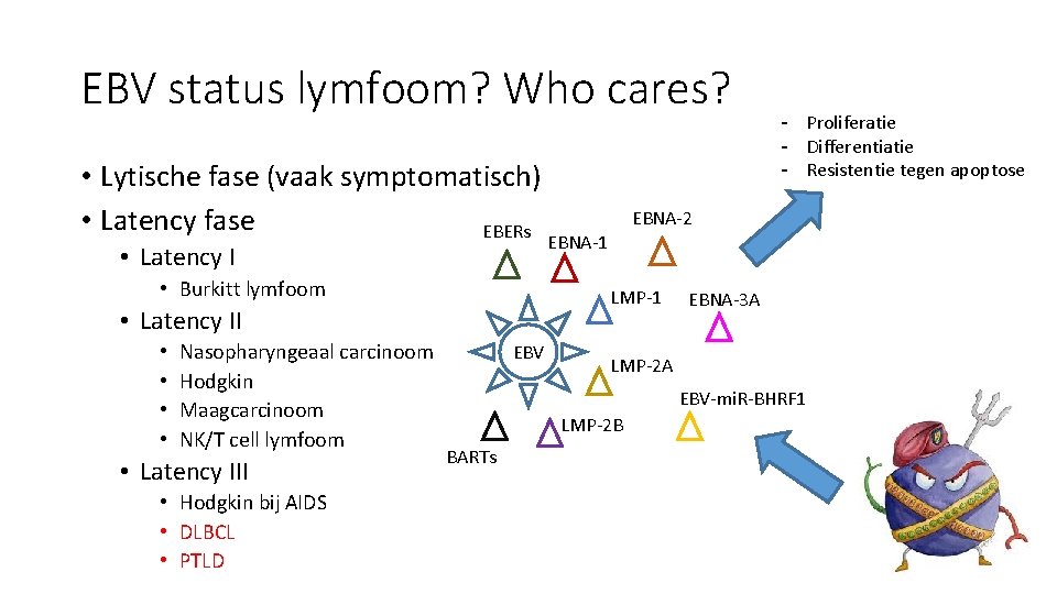 EBV status lymfoom? Who cares? • Lytische fase (vaak symptomatisch) • Latency fase EBERs
