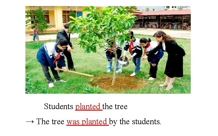 Students planted the tree → The tree was planted by the students. 