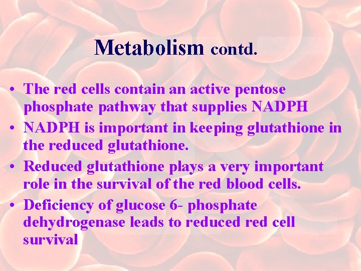 Metabolism contd. • The red cells contain an active pentose phosphate pathway that supplies