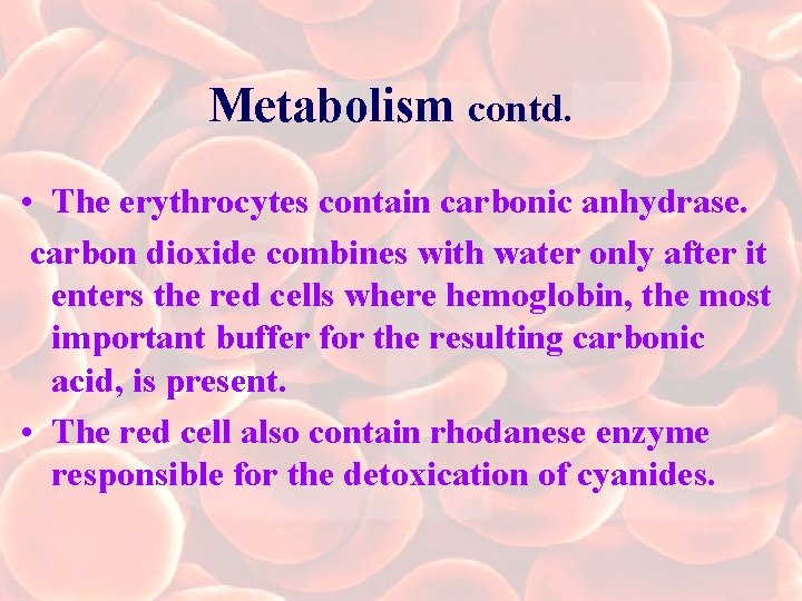 Metabolism contd. • The erythrocytes contain carbonic anhydrase. carbon dioxide combines with water only