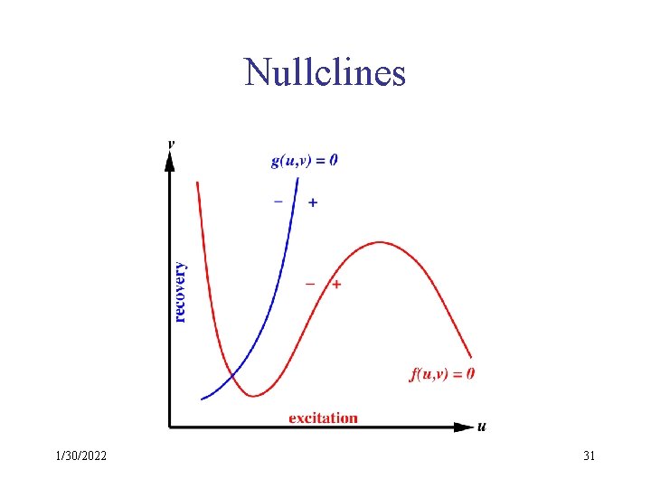 Nullclines 1/30/2022 31 