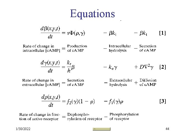 Equations 1/30/2022 44 