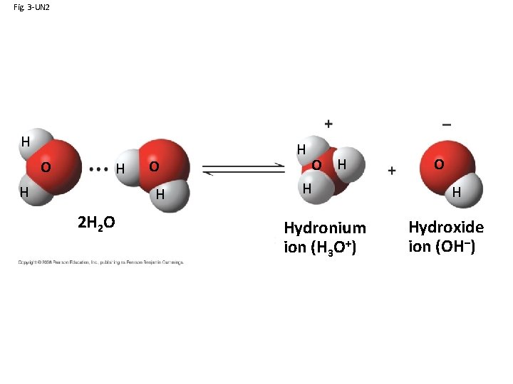 Fig. 3 -UN 2 H O H 2 H 2 O H H Hydronium
