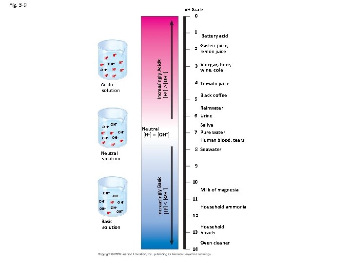 Fig. 3 -9 p. H Scale 0 1 Gastric juice, 2 lemon juice H+