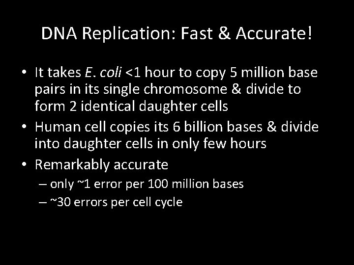 DNA Replication: Fast & Accurate! • It takes E. coli <1 hour to copy