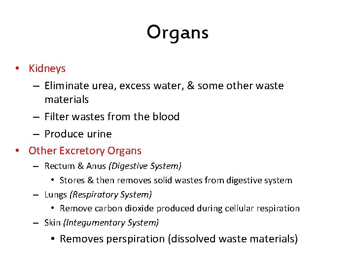 Organs • Kidneys – Eliminate urea, excess water, & some other waste materials – Organs • Kidneys – Eliminate urea, excess water, & some other waste materials –