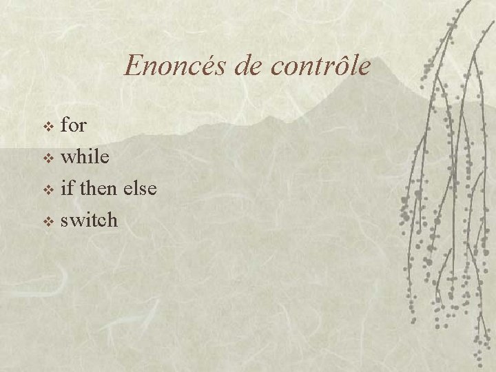 Enoncés de contrôle for v while v if then else v switch v 