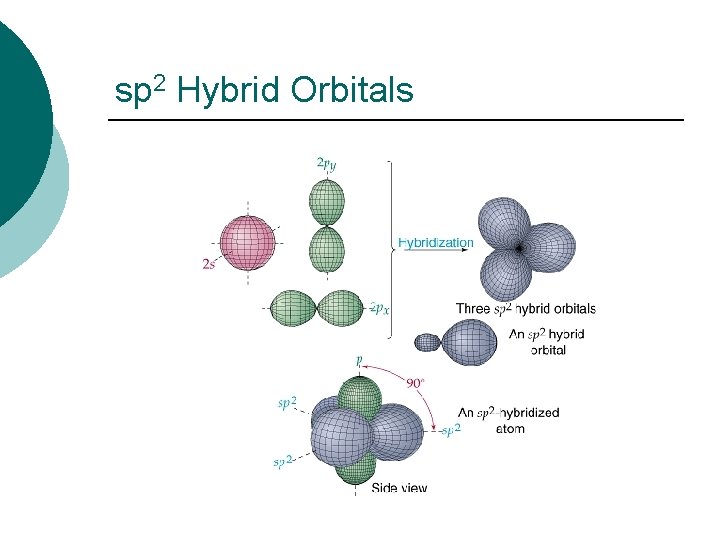sp 2 Hybrid Orbitals 