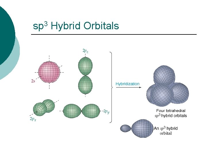 sp 3 Hybrid Orbitals 