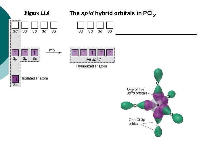 Figure 11. 6 The sp 3 d hybrid orbitals in PCl 5. 