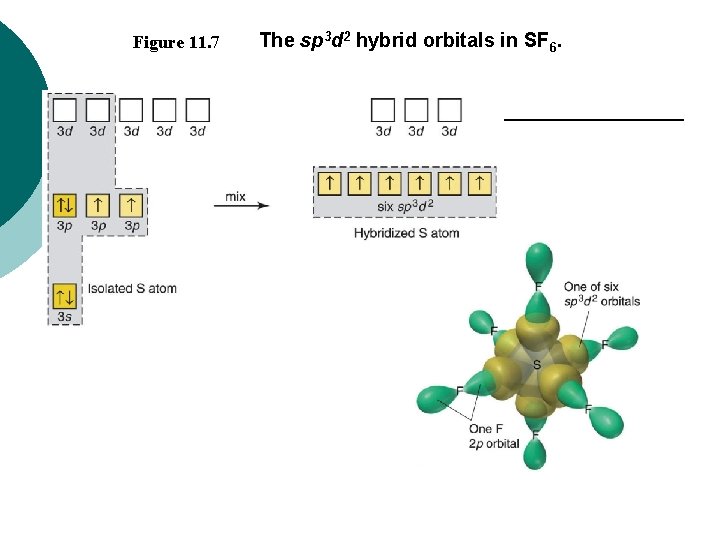 Figure 11. 7 The sp 3 d 2 hybrid orbitals in SF 6. 
