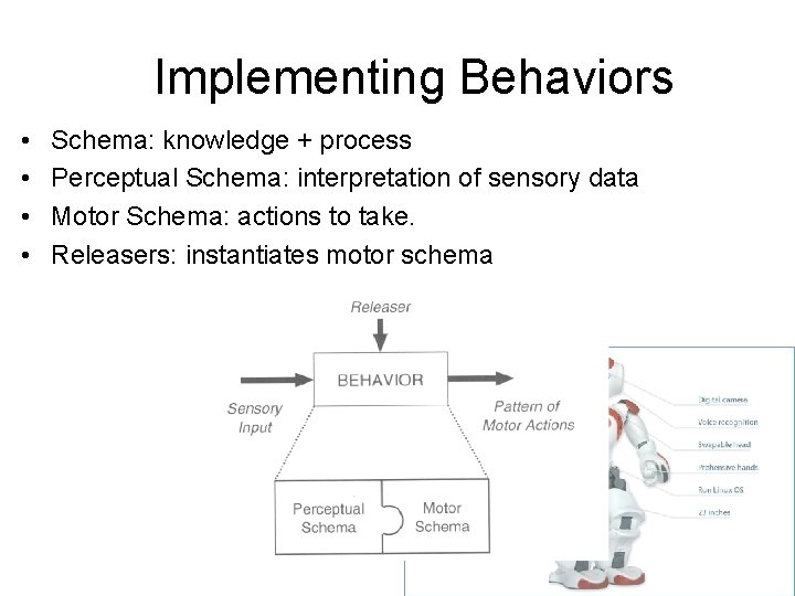 Implementing Behaviors • • Schema: knowledge + process Perceptual Schema: interpretation of sensory data Implementing Behaviors • • Schema: knowledge + process Perceptual Schema: interpretation of sensory data