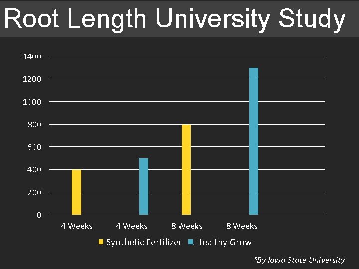 Root Length University Study 1400 1200 1000 800 600 400 200 0 4 Weeks Root Length University Study 1400 1200 1000 800 600 400 200 0 4 Weeks