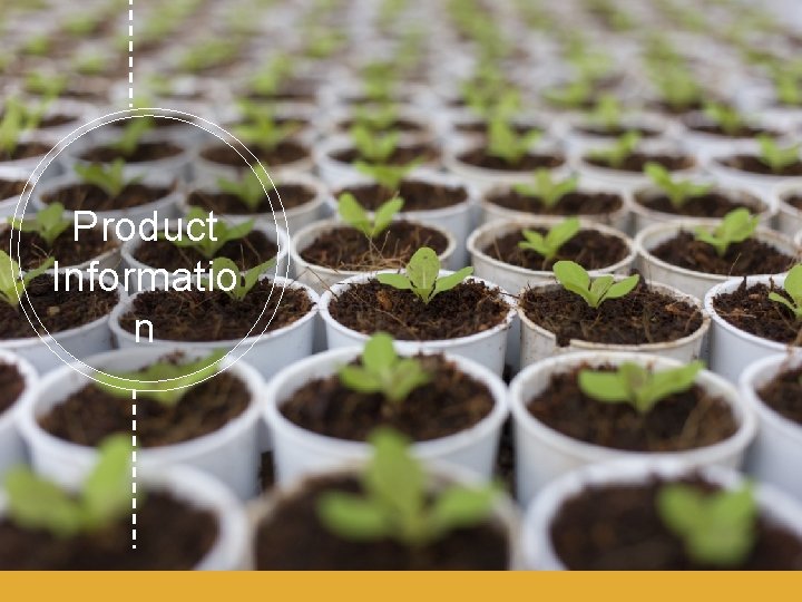 Product Informatio n Product Informatio n