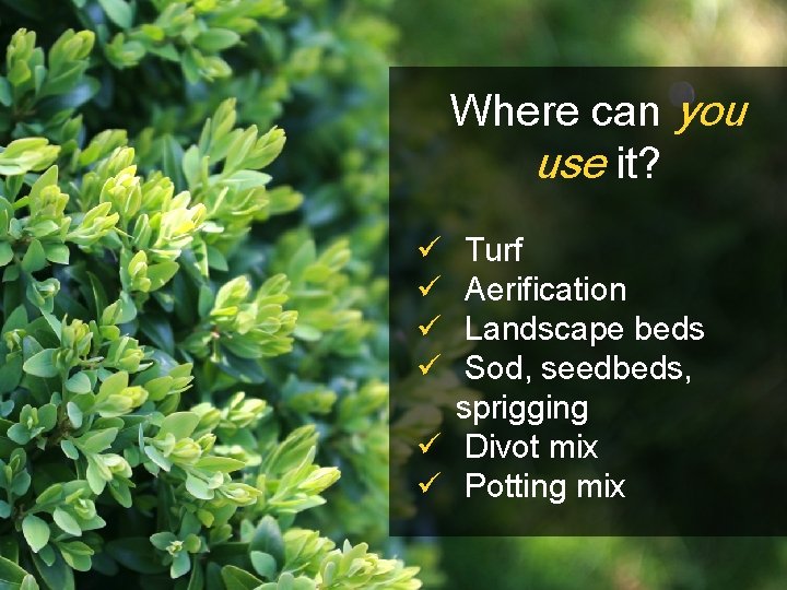 Where can you use it? ü ü Turf Aerification Landscape beds Sod, seedbeds, sprigging Where can you use it? ü ü Turf Aerification Landscape beds Sod, seedbeds, sprigging