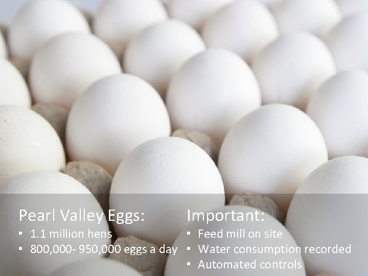 Pearl Valley Eggs: Important: • 1. 1 million hens • Feed mill on site Pearl Valley Eggs: Important: • 1. 1 million hens • Feed mill on site