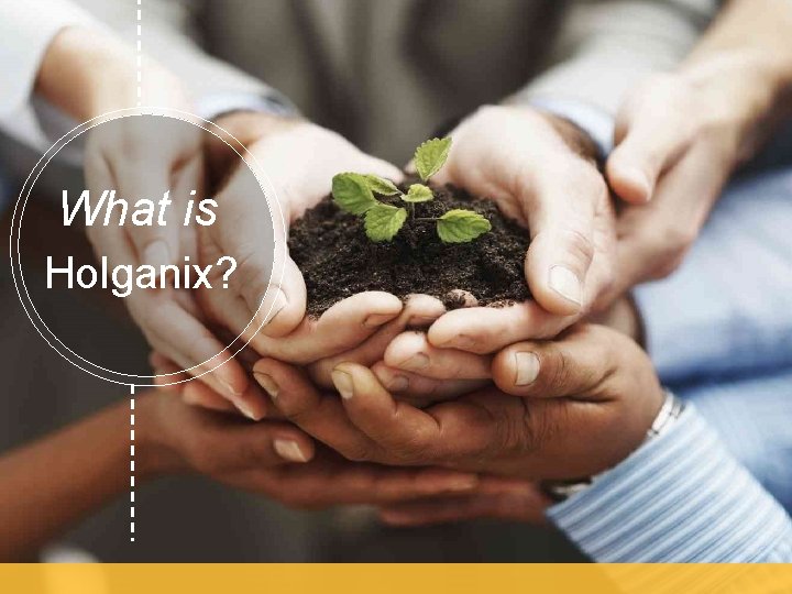 What is Holganix? What is Holganix?