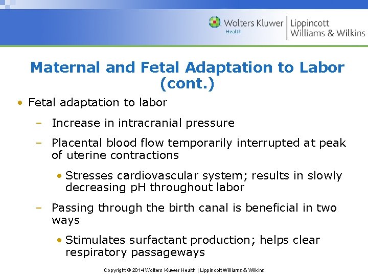 Maternal and Fetal Adaptation to Labor (cont. ) • Fetal adaptation to labor –