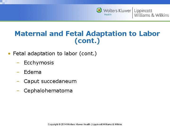 Maternal and Fetal Adaptation to Labor (cont. ) • Fetal adaptation to labor (cont.