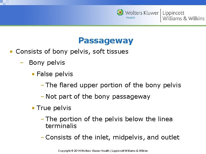Passageway • Consists of bony pelvis, soft tissues – Bony pelvis • False pelvis
