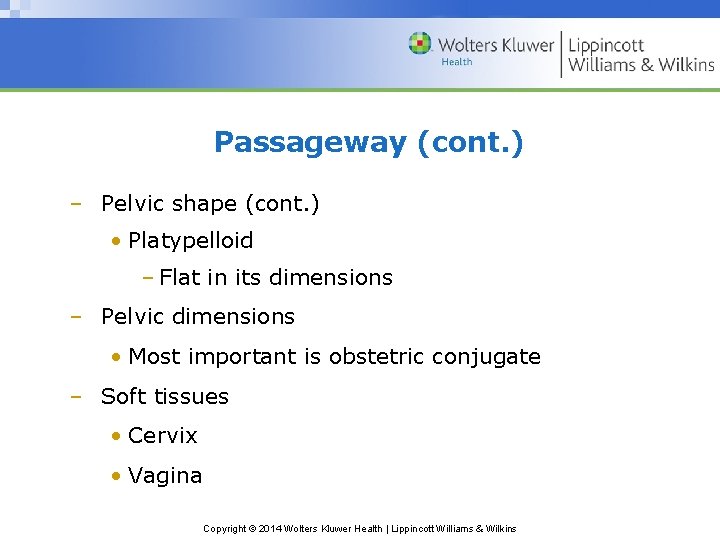 Passageway (cont. ) – Pelvic shape (cont. ) • Platypelloid ‒ Flat in its