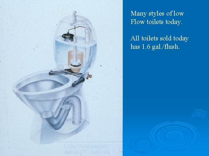 Many styles of low Flow toilets today. All toilets sold today has 1. 6