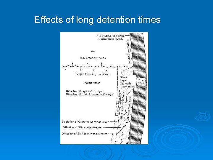 Effects of long detention times 
