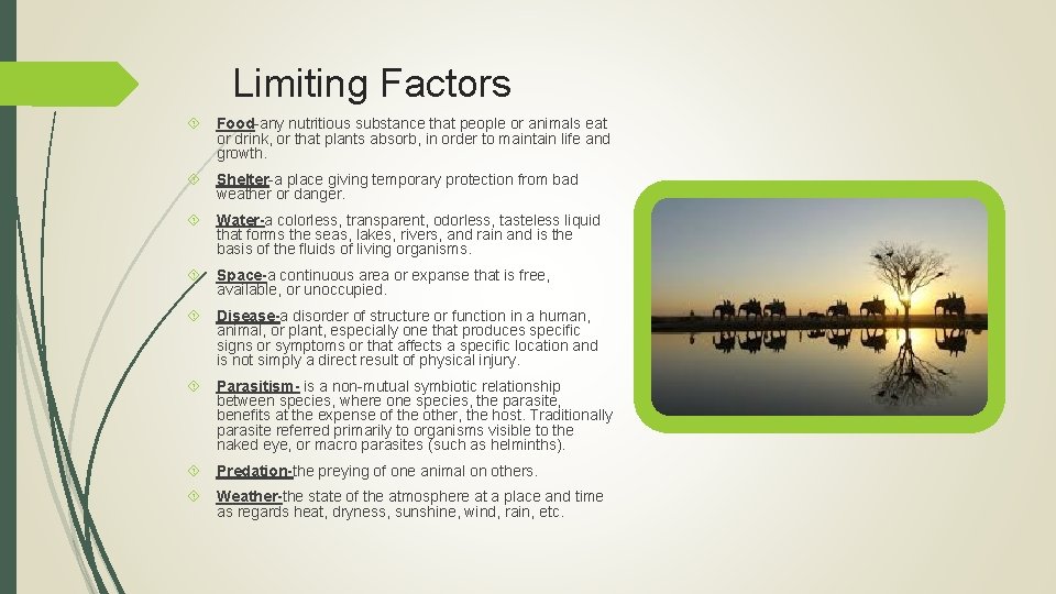 Limiting Factors Food-any nutritious substance that people or animals eat or drink, or that