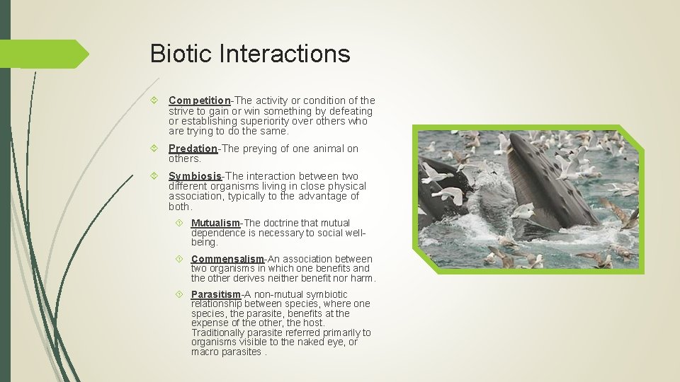 Biotic Interactions Competition-The activity or condition of the strive to gain or win something