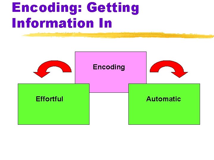Encoding: Getting Information In Encoding Effortful Automatic 
