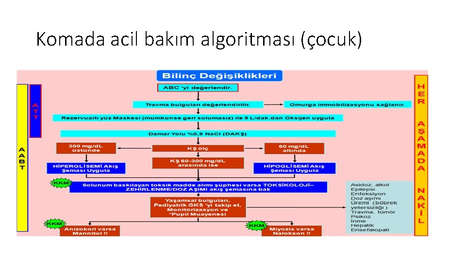 Komada acil bakım algoritması (çocuk) 