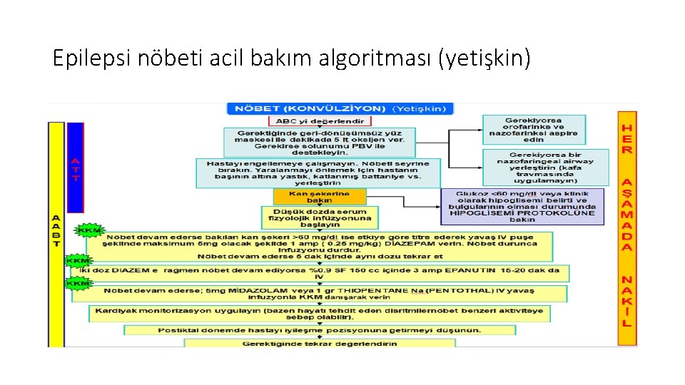 Epilepsi nöbeti acil bakım algoritması (yetişkin) 