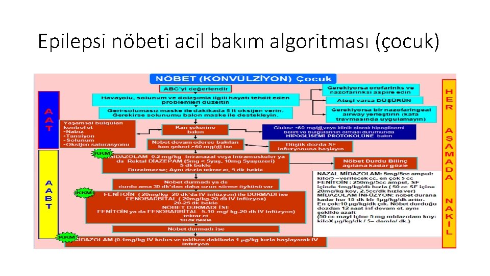 Epilepsi nöbeti acil bakım algoritması (çocuk) 