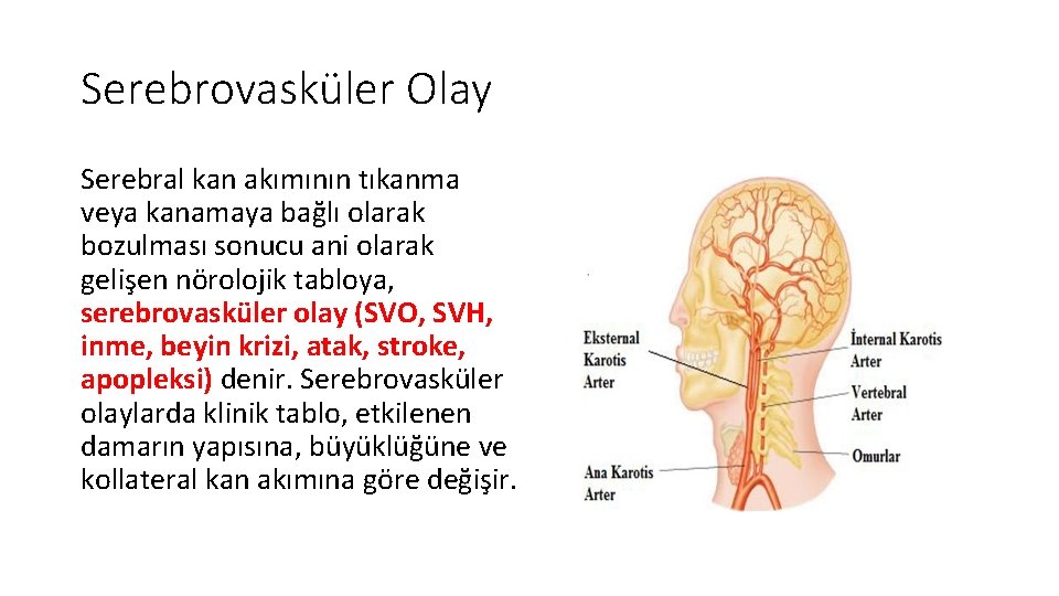 Serebrovasküler Olay Serebral kan akımının tıkanma veya kanamaya bağlı olarak bozulması sonucu ani olarak