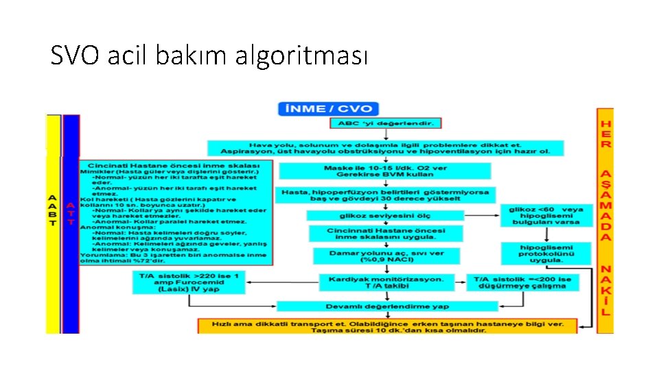 SVO acil bakım algoritması 