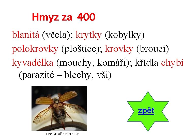 Hmyz za 400 blanitá (včela); krytky (kobylky) polokrovky (ploštice); krovky (brouci) kyvadélka (mouchy, komáři);