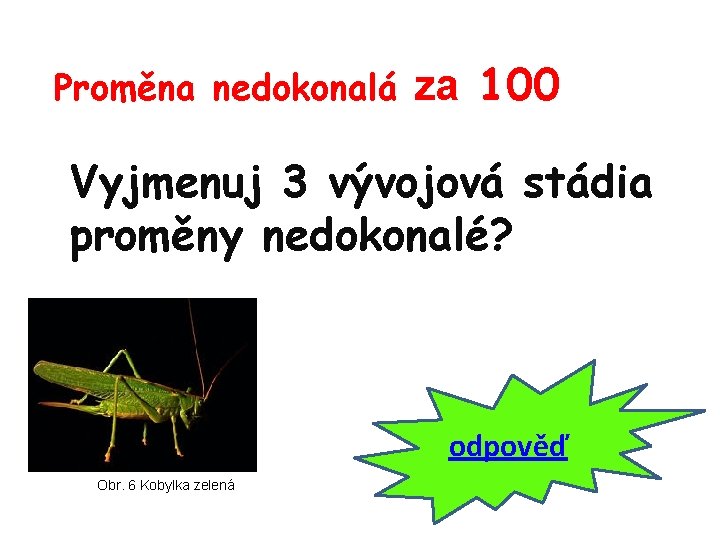 Proměna nedokonalá za 100 Vyjmenuj 3 vývojová stádia proměny nedokonalé? odpověď Obr. 6 Kobylka