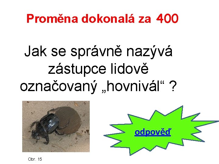 Proměna dokonalá za 400 Jak se správně nazývá zástupce lidově označovaný „hovnivál“ ? odpověď