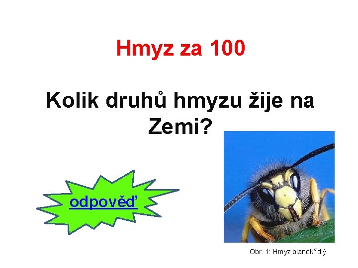 Hmyz za 100 Kolik druhů hmyzu žije na Zemi? odpověď Obr. 1: Hmyz blanokřídlý