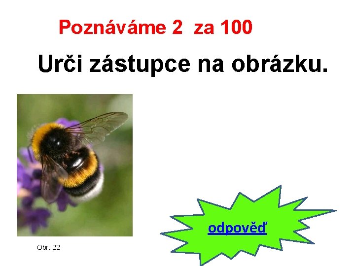 Poznáváme 2 za 100 Urči zástupce na obrázku. odpověď Obr. 22 