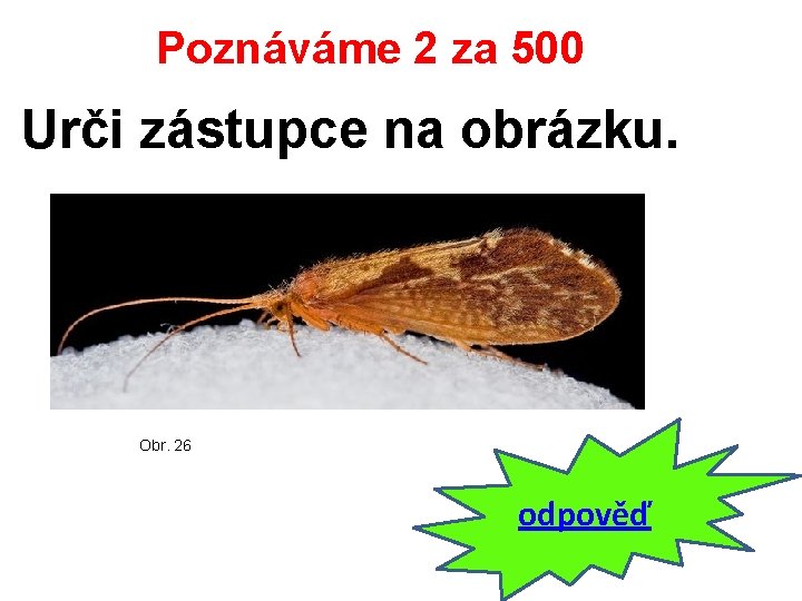 Poznáváme 2 za 500 Urči zástupce na obrázku. Obr. 26 odpověď 