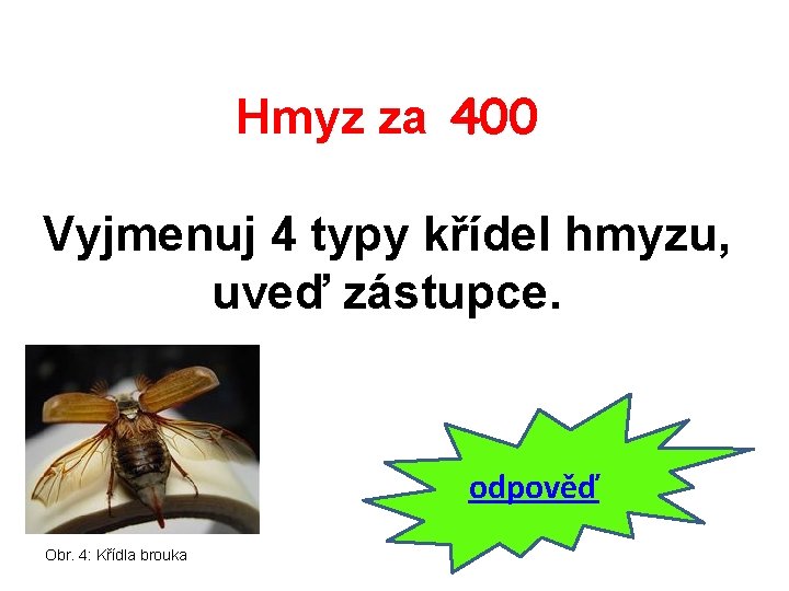 Hmyz za 400 Vyjmenuj 4 typy křídel hmyzu, uveď zástupce. odpověď Obr. 4: Křídla